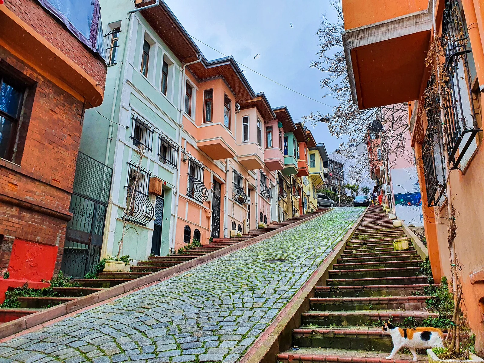 Colourful Balat houses beside a steep cobbled street and stairway