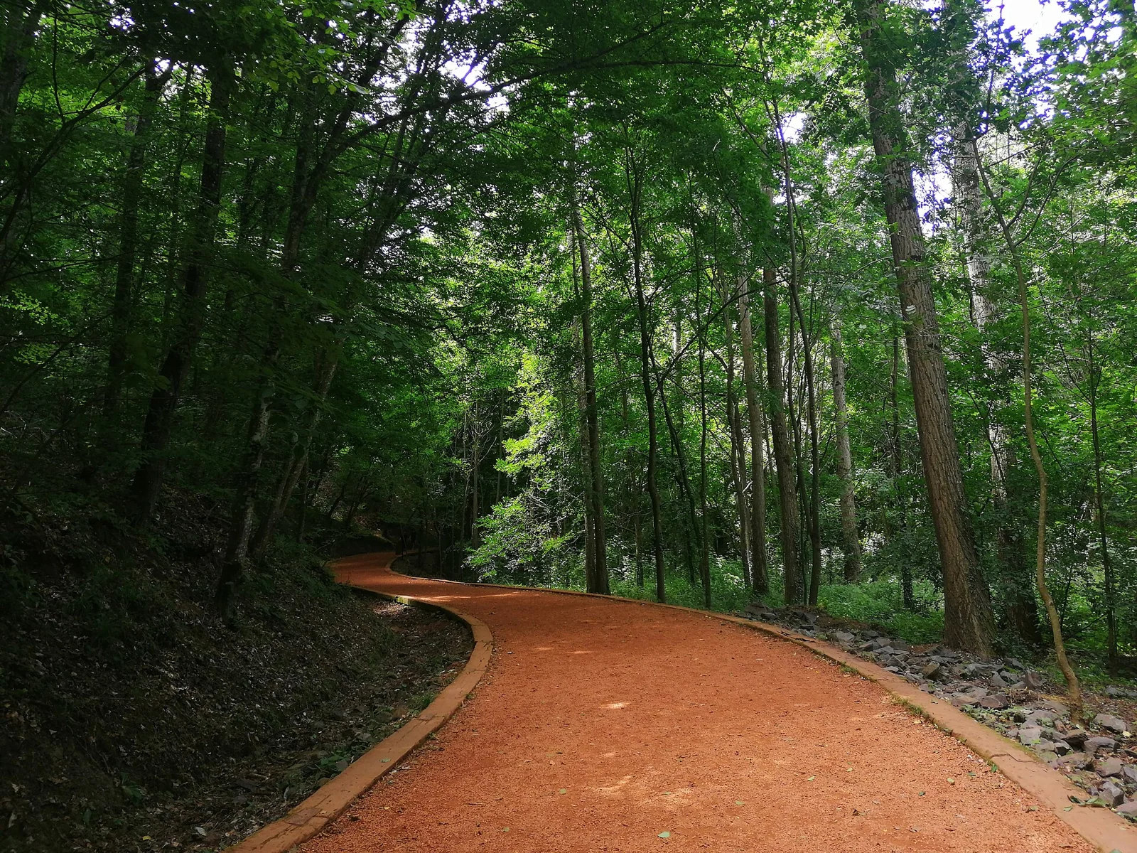 A curving walking track under green trees in Neşet Suyu Nature Park